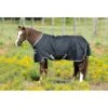 Amigo Stock Horse Turnout 200g - Black/Silver/Black 1 Amigo Stock Horse Turnout 200g - Black/Silver/Black -Equestrian Supplies 303303 800 800