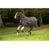 Amigo Bravo 12 Original Turnout 0g - Brown/Red/Gold/Red -Equestrian Supplies 307677 800 800