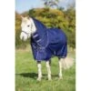 Amigo Hero 900 Pony Plus Turnout 200g - Atlantic Blue/Atlantic Blue/Ivory 2 Amigo Hero 900 Pony Plus Turnout 200g - Atlantic Blue/Atlantic Blue/Ivory -Equestrian Supplies 309280 800 800