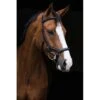 Rambo Micklem Original Deluxe Competition Bridle - Black 1 Rambo Micklem Original Deluxe Competition Bridle - Black -Equestrian Supplies 314230 800 800