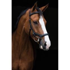 Rambo Micklem Original Deluxe Competition Bridle - Black
