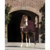 Amigo Net Cooler - Fig/Navy/Tan -Equestrian Supplies 314357 800 800
