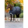 Amigo Bravo 12 XL Original Turnout Medium - Navy/Navy/Gold 2 Amigo Bravo 12 XL Original Turnout Medium - Navy/Navy/Gold -Equestrian Supplies 314387 800 800
