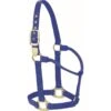 Western Rawhide Signature Classic Halter - Blue -Equestrian Supplies 360579 800 800