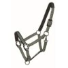 Western Rawhide Country LegendDesigner Padded Halter - Hunter/Mint -Equestrian Supplies 360605 800 800