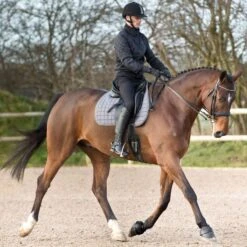 Horze Anti Twist Lock-On Bell Boots - Black 8 Horze Anti Twist Lock-On Bell Boots - Black -Equestrian Supplies 375306 800 800