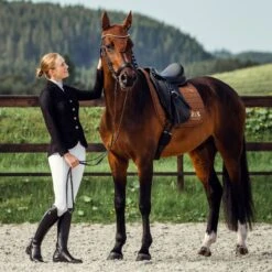 B Vertigo Women's Gabrielle Mesh Show Jacket - Black 10 B Vertigo Women's Gabrielle Mesh Show Jacket - Black -Equestrian Supplies 384744 800 800