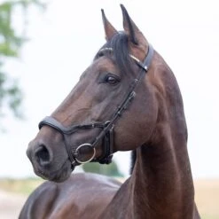 Horze Stewart Anatomical Bridle - Dark Brown -Equestrian Supplies 386605 800 800