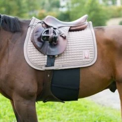 Horze Elastic Belly Guard - Black 7 Horze Elastic Belly Guard - Black -Equestrian Supplies 387350 800 800