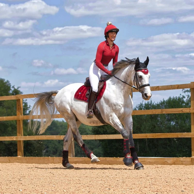 Woof Wear Training Wrap - Black/Shiraz 4 Woof Wear Training Wrap - Black/Shiraz - Image 2