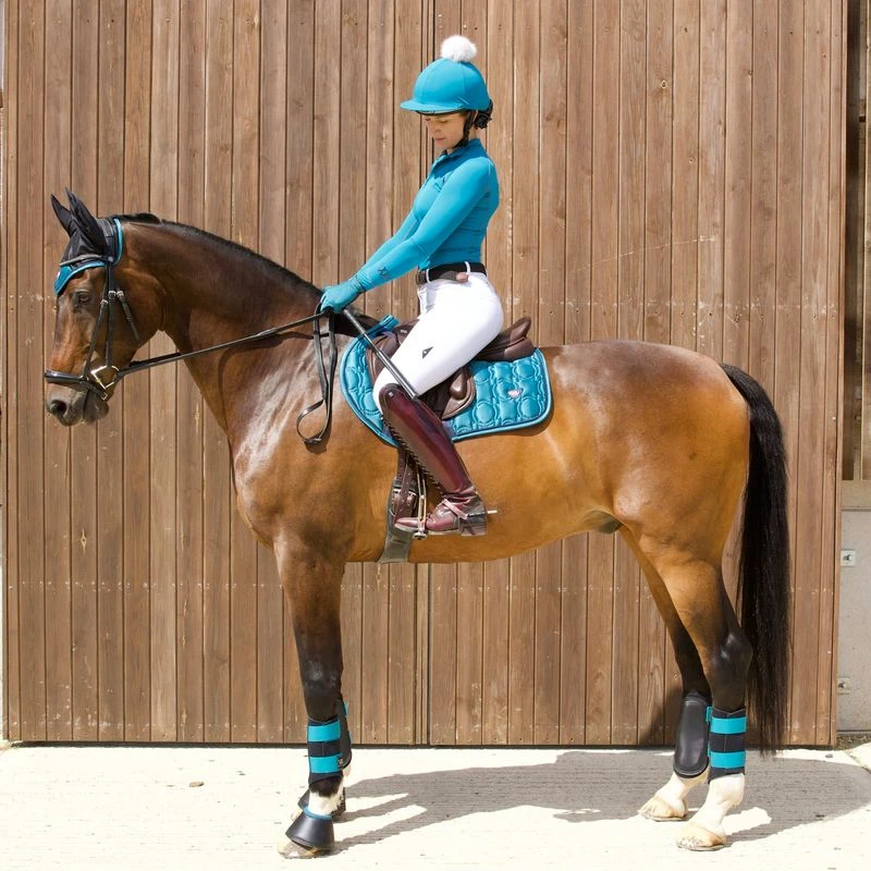 Woof Wear Vision Ergonomic Ear Net - Black/Ocean 4 Woof Wear Vision Ergonomic Ear Net - Black/Ocean - Image 2