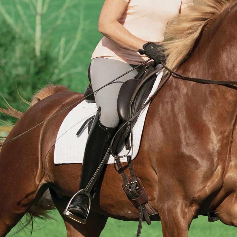 Irideon Women's Camber Knee Patch Breeches - Dove Grey 3 Irideon Women's Camber Knee Patch Breeches - Dove Grey