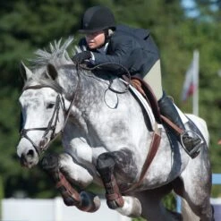 Irideon Kids' Hampshire TechFleece Knee Patch Breeches - Classic Tan -Equestrian Supplies 400416 800 800