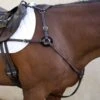 Nunn Finer 5-Way Hunting Breastplate With Elastic - Havana/Zinc 1 Nunn Finer 5-Way Hunting Breastplate With Elastic - Havana/Zinc -Equestrian Supplies 402811 800 800