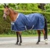 Bucas Celtic Stable Rug Light - Navy -Equestrian Supplies 402851 800 800