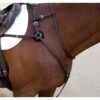 Nunn Finer Breastplate Attachment With Neck Strap - Havana/Brass -Equestrian Supplies 403145 800 800