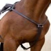 Nunn Finer 5-Way Hunting Breastplate - Havana/Zinc 1 Nunn Finer 5-Way Hunting Breastplate - Havana/Zinc -Equestrian Supplies 403725 800 800