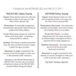 Champion Evolution Pearl Helmet - Black 9 Champion Evolution Pearl Helmet - Black -Equestrian Supplies 405399 800 800