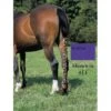 Jammies Three Piece Tail Wrap - Purple -Equestrian Supplies 406799 800 800