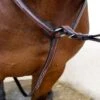 Nunn Finer Bellissimo Hunting Breastplate - Havana/Zinc 1 Nunn Finer Bellissimo Hunting Breastplate - Havana/Zinc -Equestrian Supplies 406937 800 800