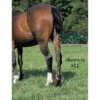 Jammies Three Piece Tail Wrap - Neon Leopard -Equestrian Supplies 408305 800 800