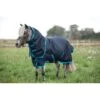 Amigo Hero 6 Petite Plus Turnout 200g - Navy/Electric Blue/Navy 1 Amigo Hero 6 Petite Plus Turnout 200g - Navy/Electric Blue/Navy -Equestrian Supplies 409256 800 800