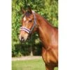 Saxon Element Fleece Headcollar - Navy/Pink 1 Saxon Element Fleece Headcollar - Navy/Pink -Equestrian Supplies 410209 800 800