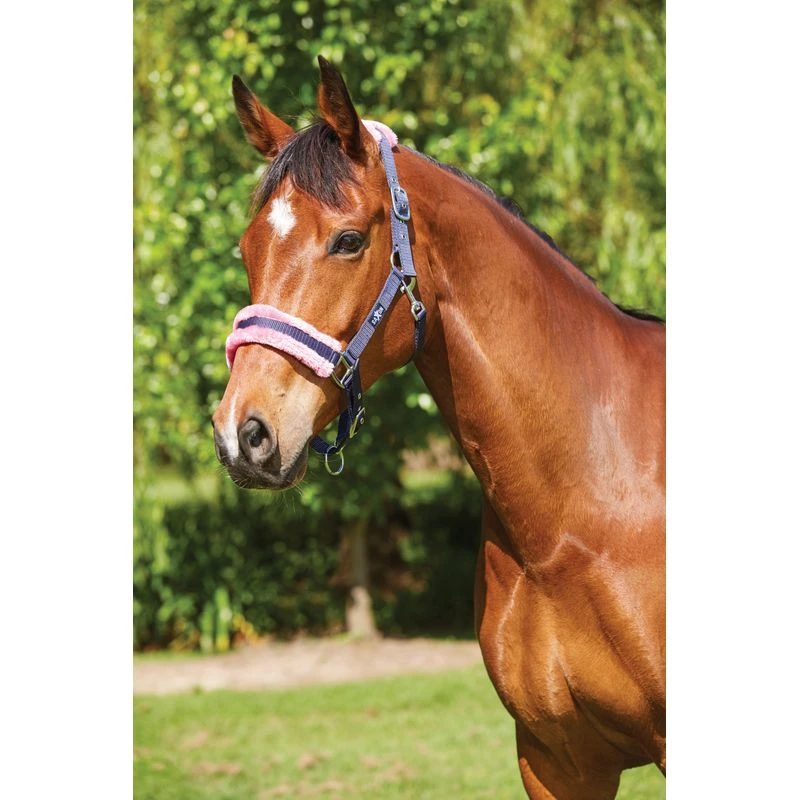 Saxon Element Fleece Headcollar - Navy/Pink 3 Saxon Element Fleece Headcollar - Navy/Pink