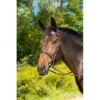 Shires Avignon Middleburg Bridle - Havana -Equestrian Supplies 420053 800 800