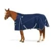 Ovation 1200D Turnout Sheet - Navy/Blue Secret Garden 2 Ovation 1200D Turnout Sheet - Navy/Blue Secret Garden -Equestrian Supplies 422168 800 800