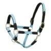 Harmohn Kraft Padded Web/Leather Halter W/Snap - Light Blue/Black -Equestrian Supplies 423042 800 800