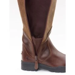 Ovation Women's Moorland II Waterproof Highrider Tall Boot - Brown -Equestrian Supplies 430856 800 800