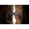 Ovation ATS Fancy Raised Wide Noseband Bridle - Dark Brown -Equestrian Supplies 433865 800 800