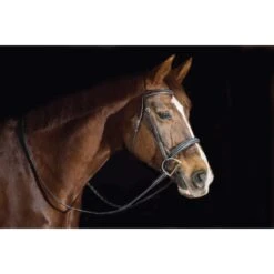 Ovation ATS Fancy Raised Wide Noseband Bridle - Dark Brown 7 Ovation ATS Fancy Raised Wide Noseband Bridle - Dark Brown -Equestrian Supplies 433867 800 800