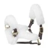 Ovation Europa Six Piece Halter Tube Set - White 1 Ovation Europa Six Piece Halter Tube Set - White -Equestrian Supplies 436841 800 800