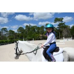 Ovation Metallic Schooler Helmet - Teal -Equestrian Supplies 437976 800 800
