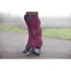 Rambo Travel Boots - Burgundy/Burgundy/Teal/Navy -Equestrian Supplies 441238 800 800