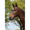 Kincade Raised Fancy Stitched Bridle - Brown -Equestrian Supplies 442510 800 800