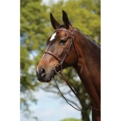 Kincade Raised Fancy Stitched Bridle - Brown
