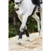 Weatherbeeta Exercise Boots - Black -Equestrian Supplies 442777 800 800