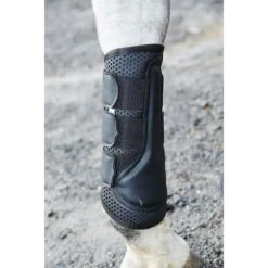 Weatherbeeta Exercise Boots - Black 15 Weatherbeeta Exercise Boots - Black -Equestrian Supplies 442782 800 800