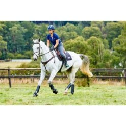 Weatherbeeta Cross Country Boots Hind - Black -Equestrian Supplies 442793 800 800