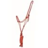 Western Rawhide 1/4" Fashion Check Rope Halterw/Lead - Red/Black 2 Western Rawhide 1/4" Fashion Check Rope Halterw/Lead - Red/Black -Equestrian Supplies 443788 800 800