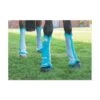 Shires Airflow Turnout Socks - Teal -Equestrian Supplies 444959 800 800