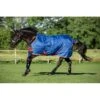 Mio Turnout 200g - Dark Blue/Dark Blue/Red -Equestrian Supplies 445344 800 800