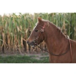 Western Rawhide Basketweave Pony Bridle With Reins - Chestnut