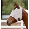 Kensington Signature Fly Mask W/Web Trim, Ears And Forelock Hole - Desert Sand 2 Kensington Signature Fly Mask W/Web Trim, Ears And Forelock Hole - Desert Sand -Equestrian Supplies 445989 800 800