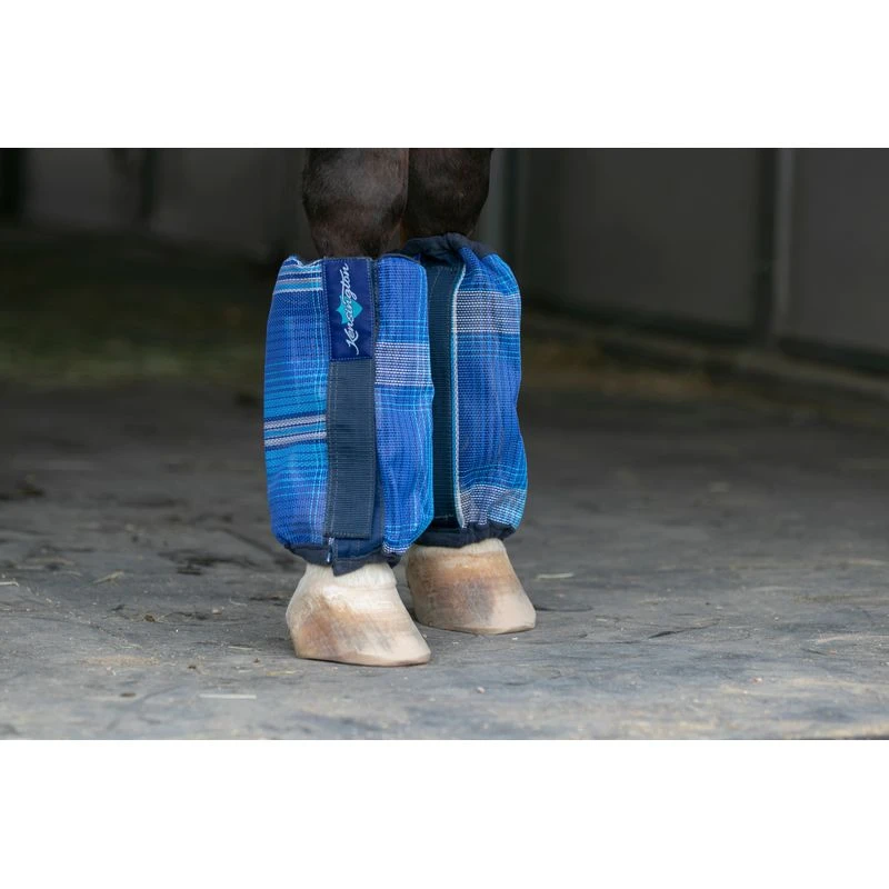 Kensington Bubble Fly Boots (Set Of 4) - Kentucky Blue 3 Kensington Bubble Fly Boots (Set Of 4) - Kentucky Blue