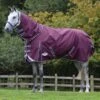 Weatherbeeta Comfitec Plus Dynamic II Detach-A-Neck Lite - Maroon/Grey/White -Equestrian Supplies 447629 800 800