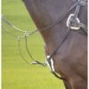 Shires Avignon Five Point Breastplate - Havana 2 Shires Avignon Five Point Breastplate - Havana -Equestrian Supplies 471278 800 800